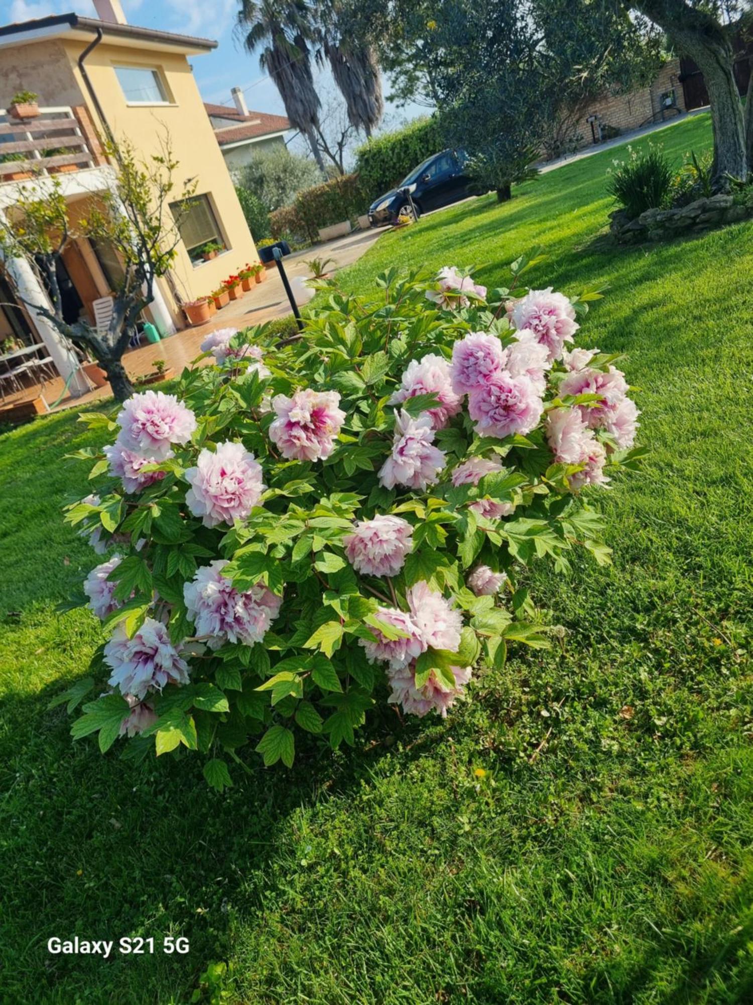 La Collina Del Riccio Ortona Exterior foto